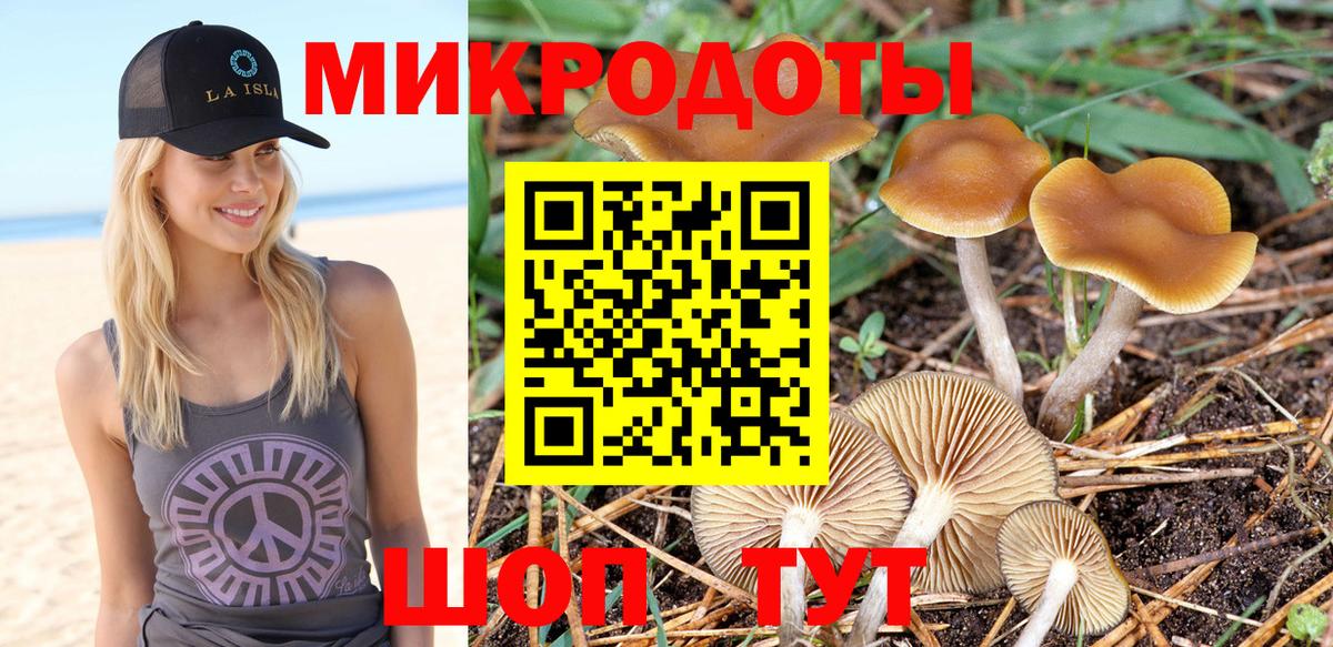 Псилоцибиновые грибы мухоморы Воскресенск
